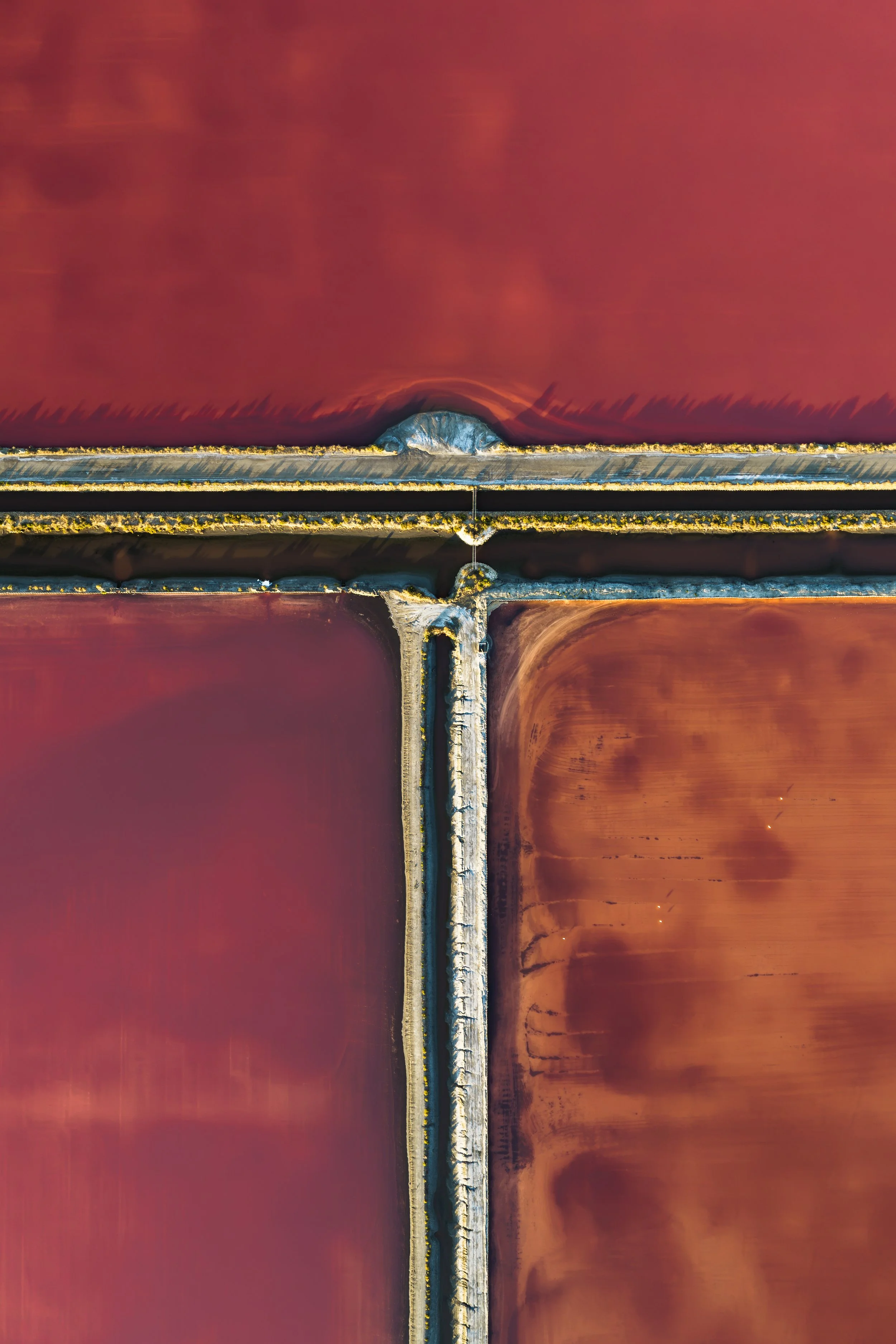 DJI_20260728070104_0022_D.jpg