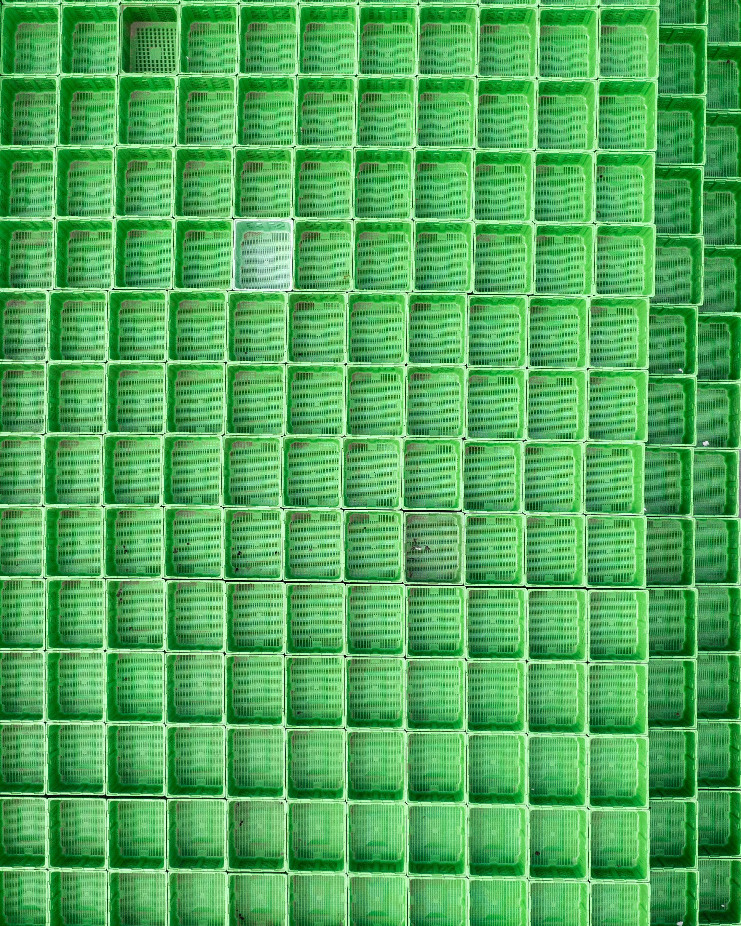 Pattern 3.jpg
