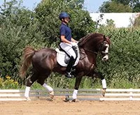 Special Effects aka Stevie