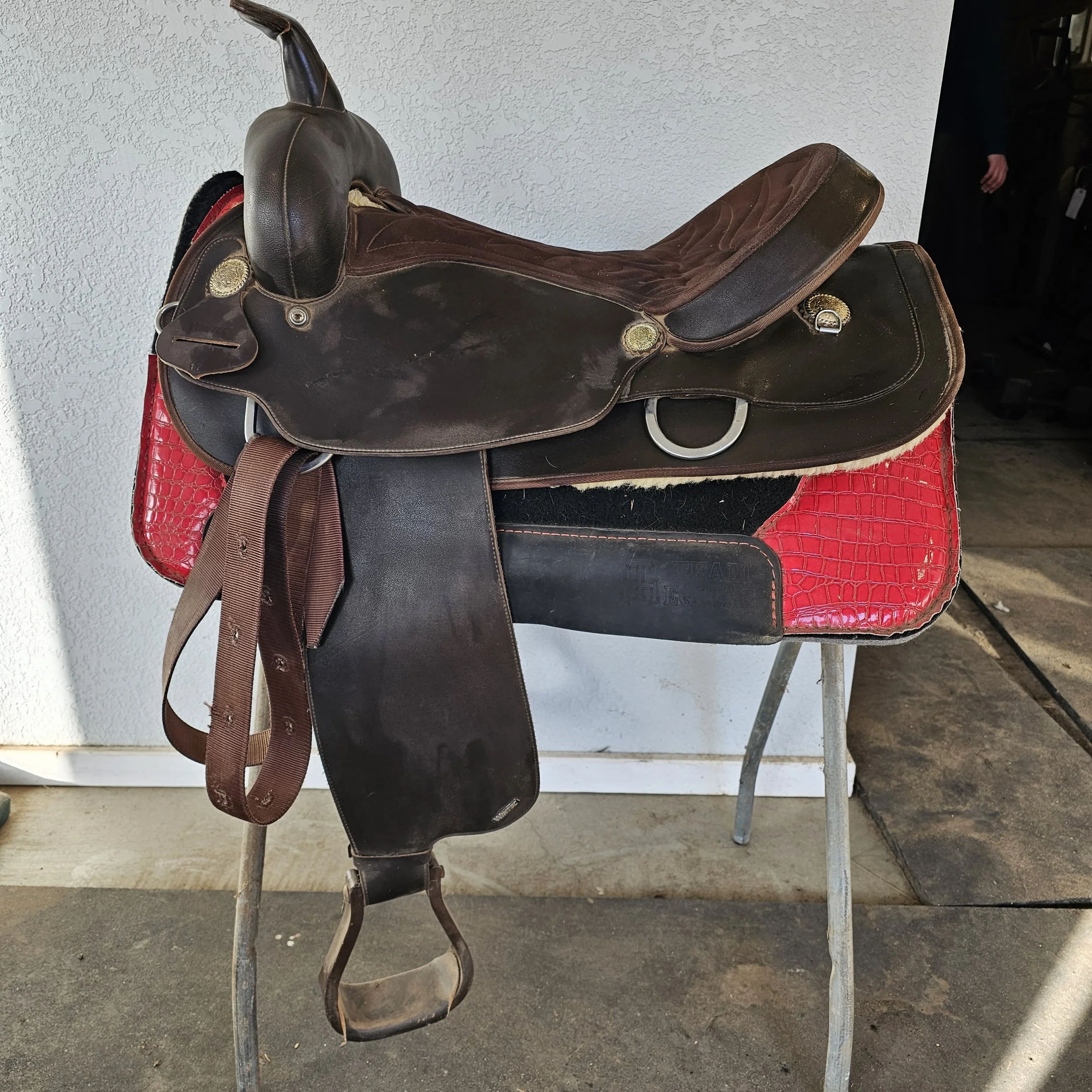 Wintec Saddle