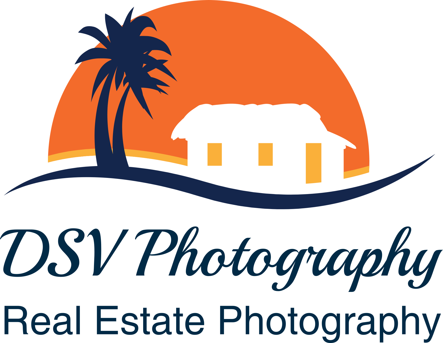 DSV Logo.png