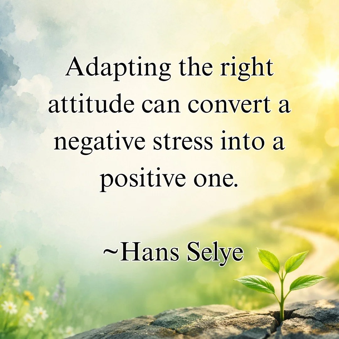 So true! #Attitude #Positive #Gratitude #Resilience #TheFamilyResilienceProject #TheFRP #NeverAlone