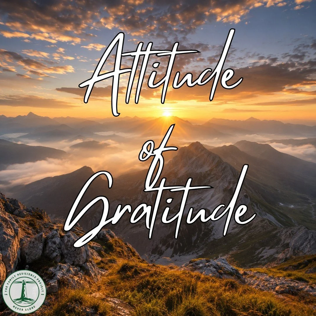 Gratitude does not deny the hard stuff.
It keeps the &ldquo;what ifs&rdquo; from taking the wheel. 
#AttitudeOfGratitude #MindsetMatters #WhatIsGood #FindAwe #Resilience #Family #TheFamilyResilienceProject #TheFRP #NeverAlone