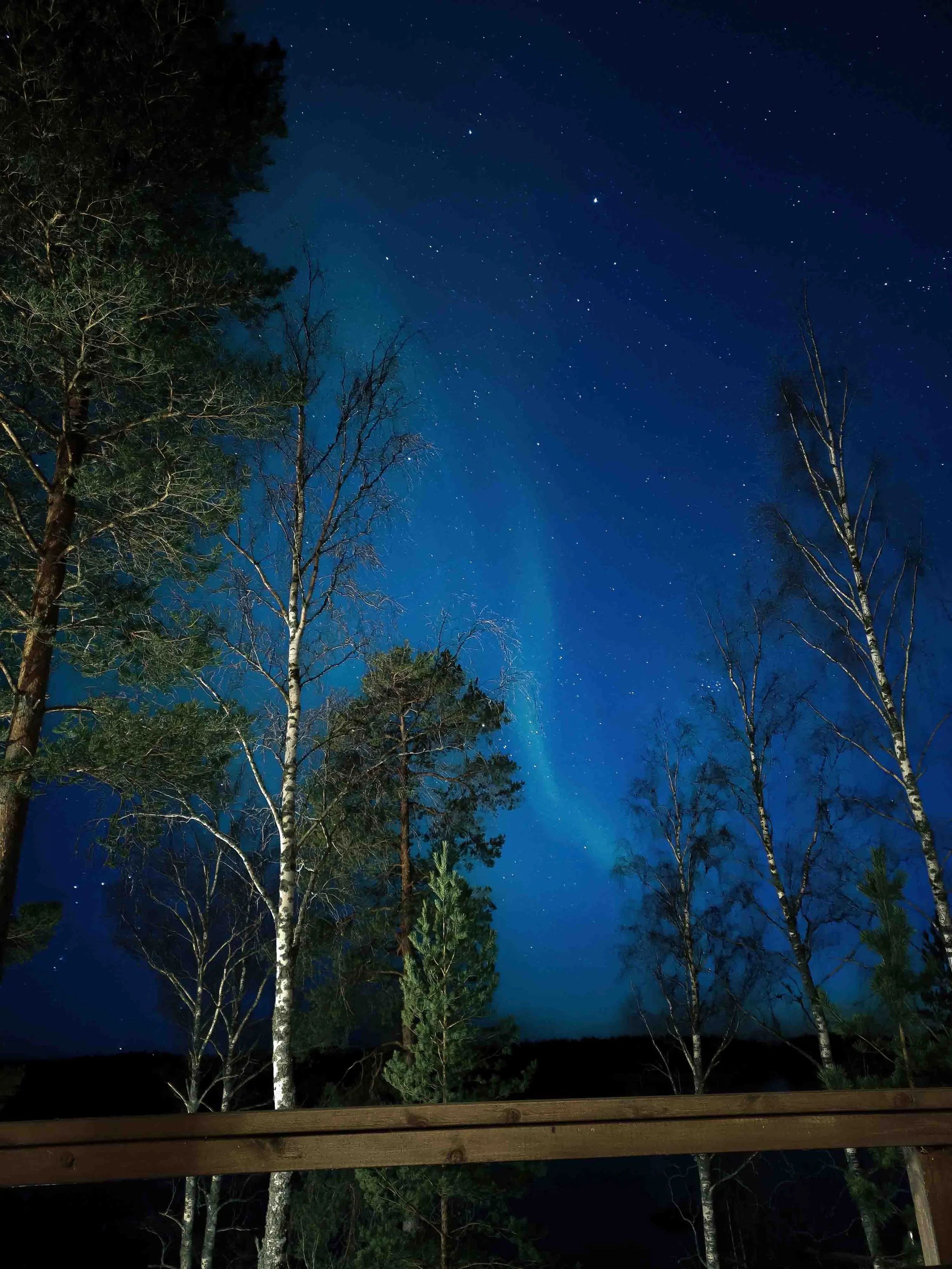 Ostrobothnia-Aurora.JPG