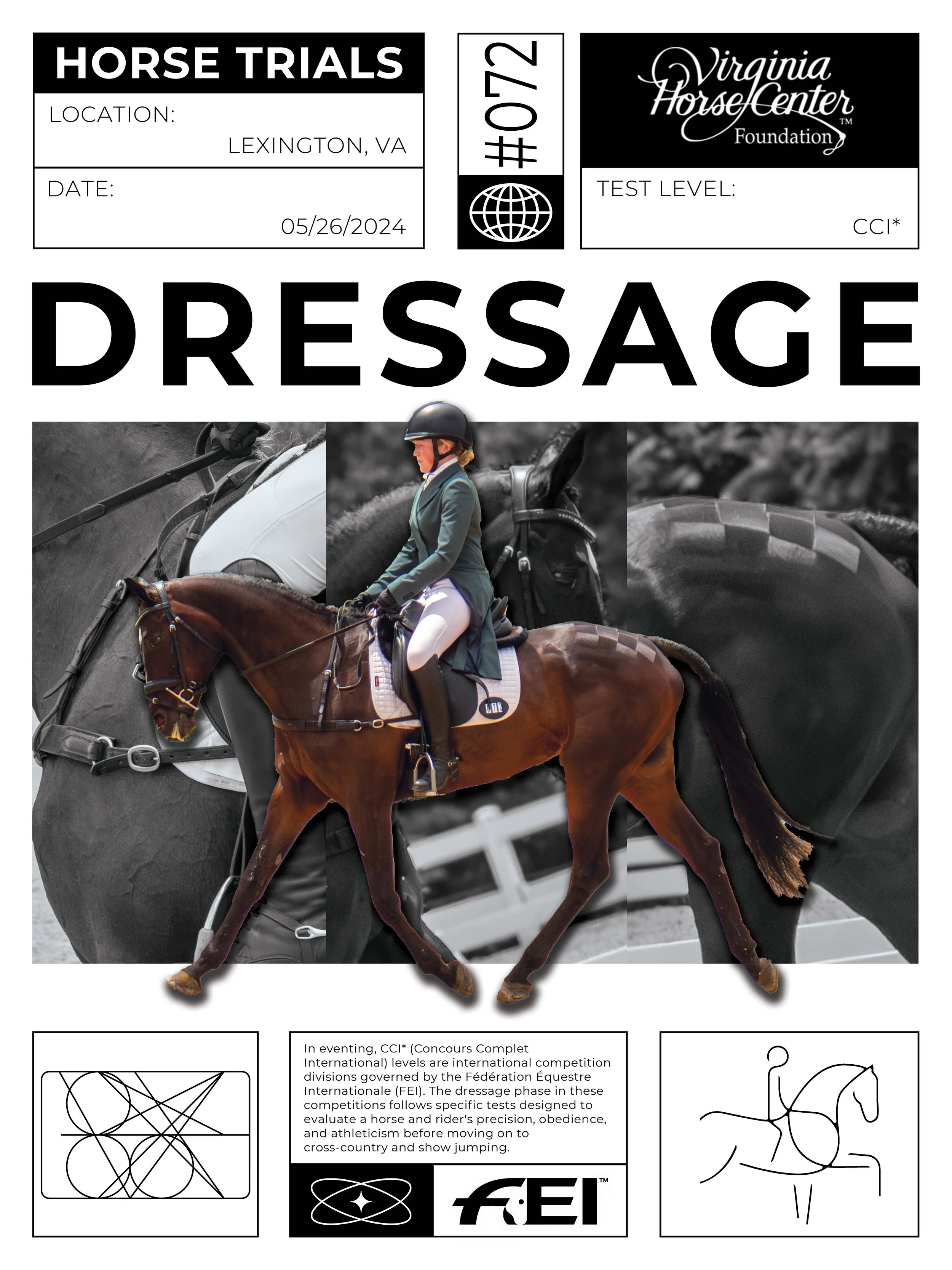 dressageposter072_largedocformat.jpg