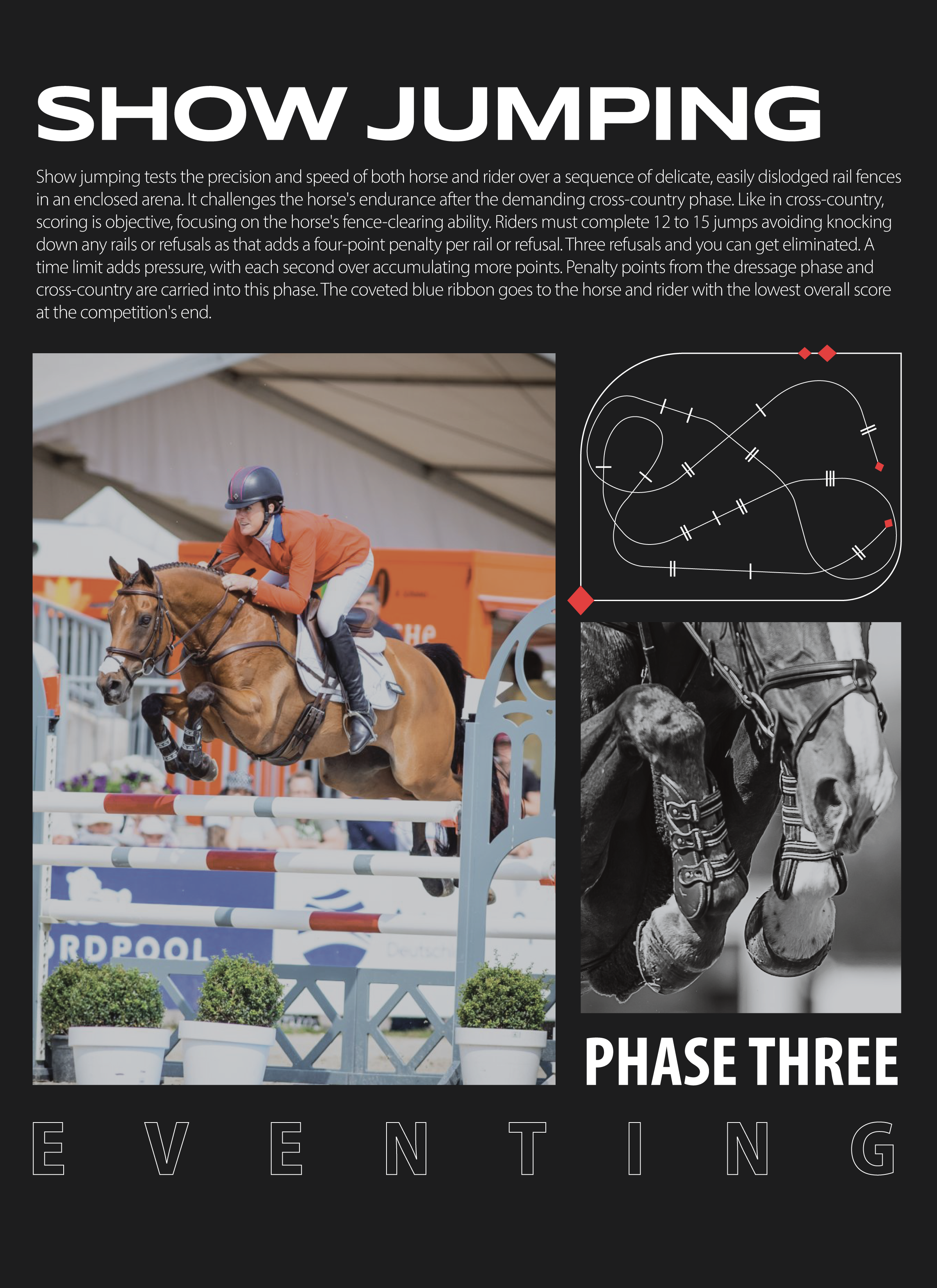 posters_showjumping-02.png