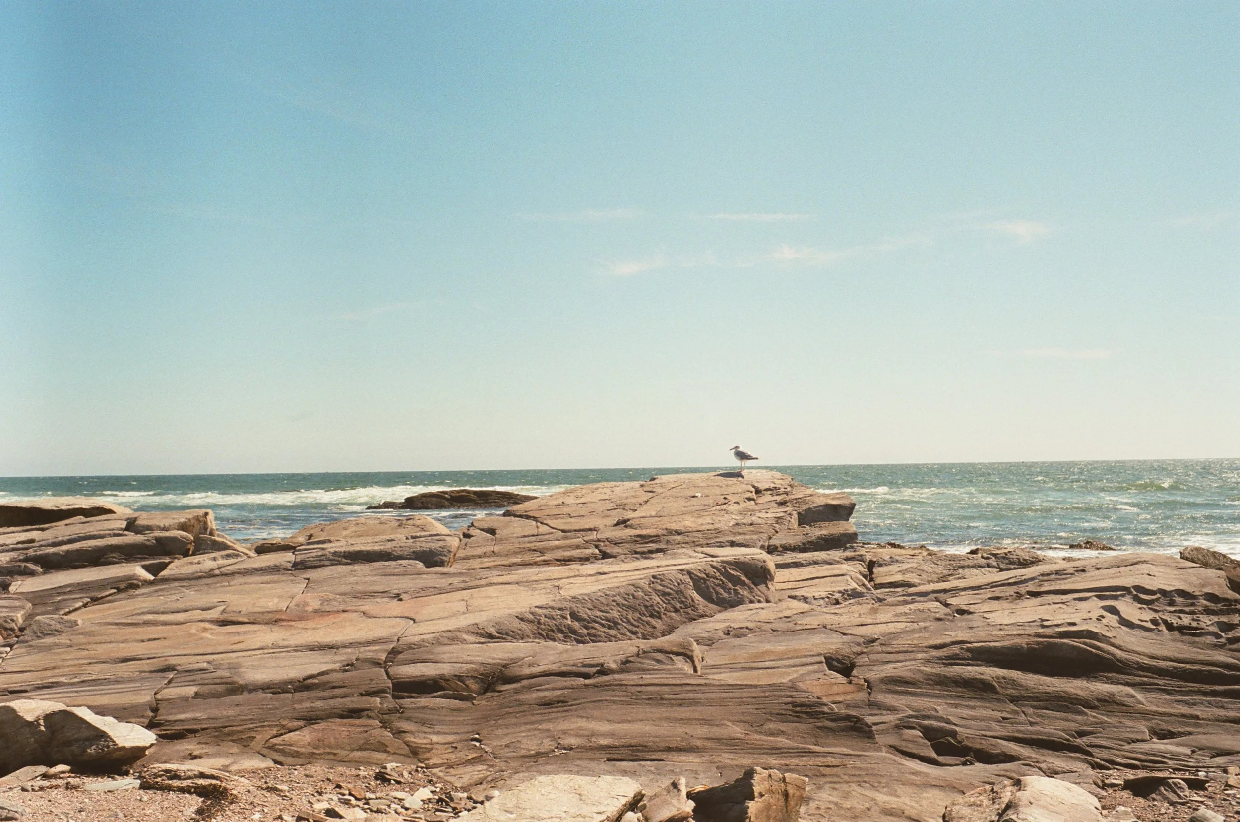A seascape with rocky shoreline, ocean waves, and a blue sky with a few clouds. A seagull stands on a rock in the foreground.
