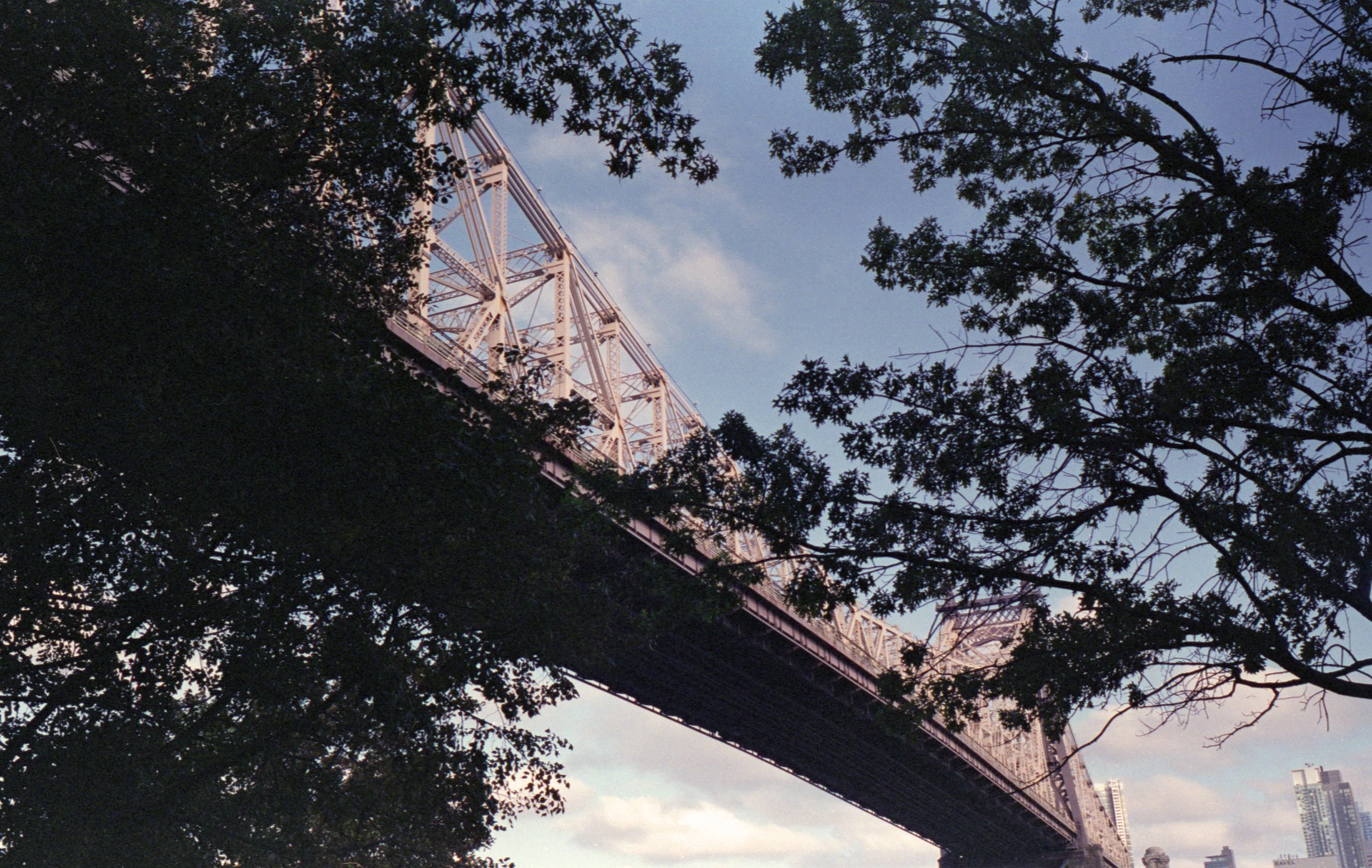 Looking up at a steel bridge partially obscured by trees with green leaves, set against a blue sky with some clouds.