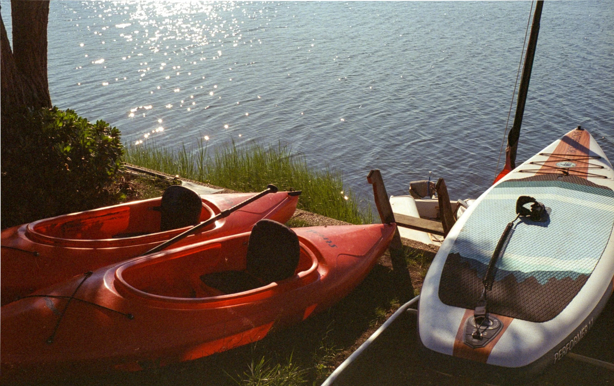 Several kayaks are stored on the grassy shoreline beside a calm body of water, with sunlight reflecting on the water surface.