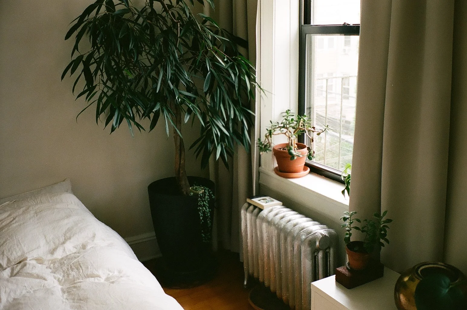 Corner of a bedroom with a white bed, several potted plants on a windowsill and a small table, a radiator, and curtains.
