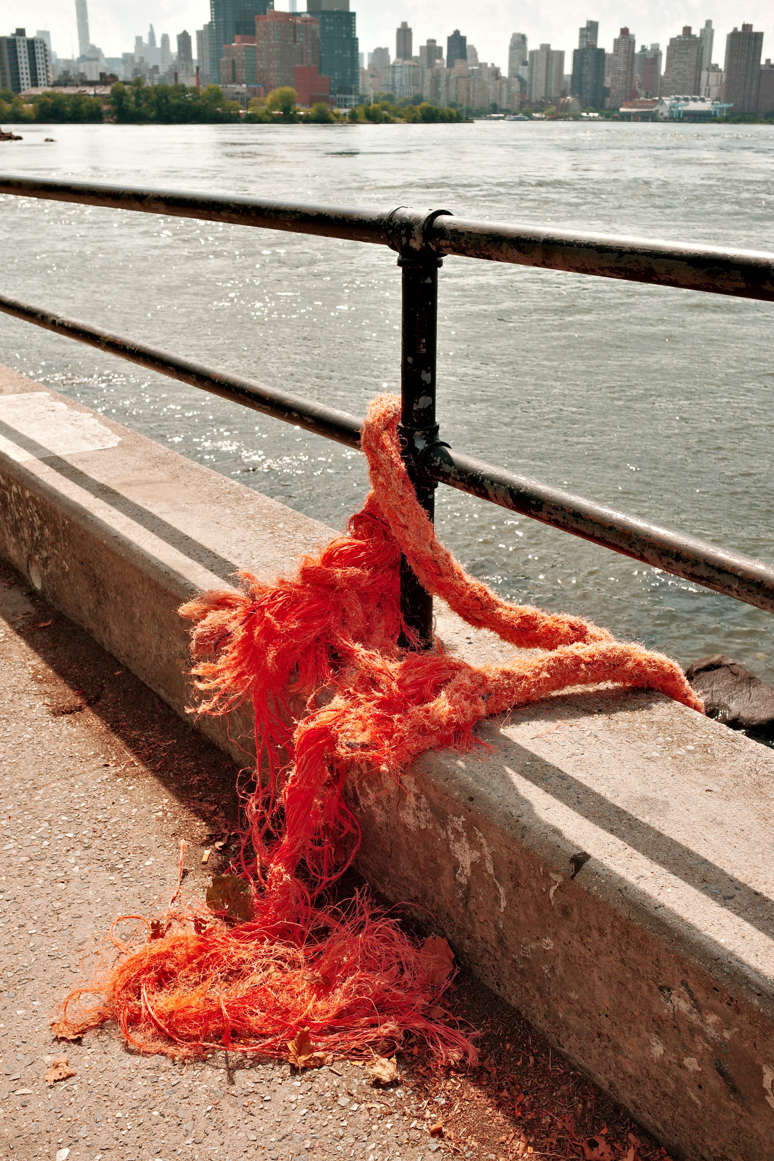 Orange frayed rope lying on the ground next to a metal railing by a body of water with a city skyline in the background.