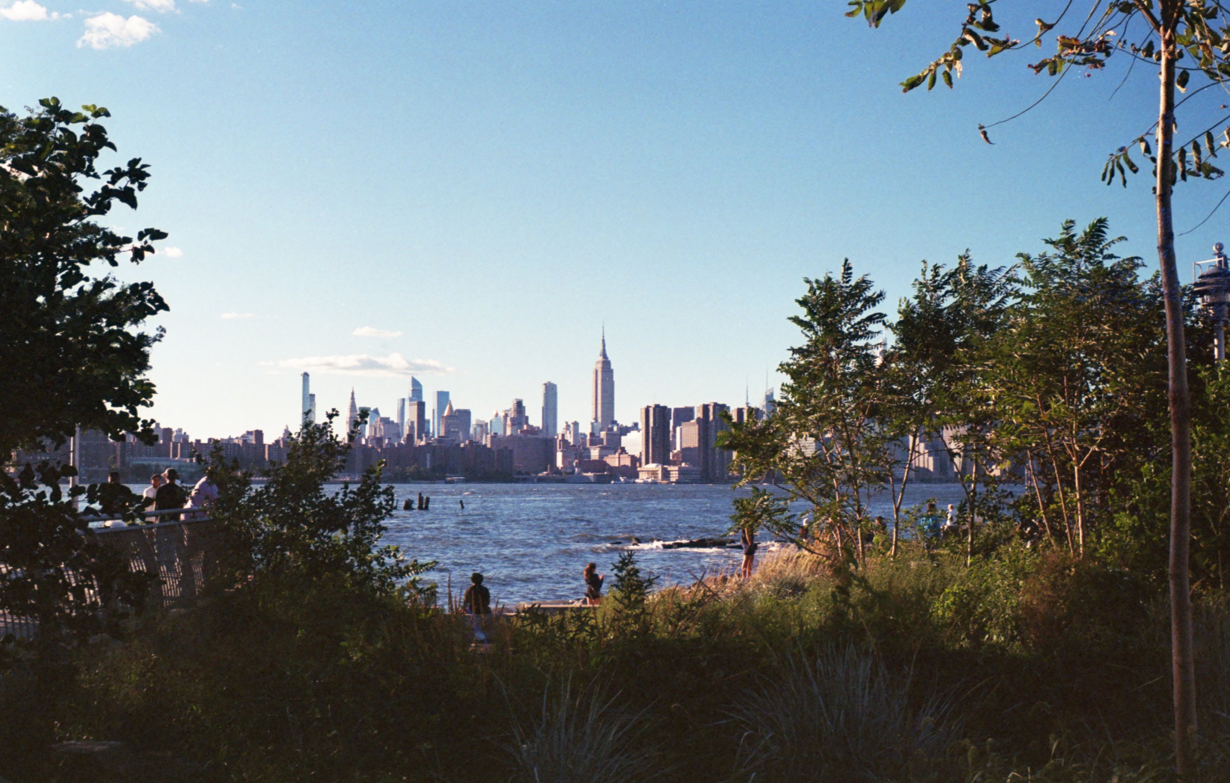 View of the New York City skyline across a body of water, with trees and bushes in the foreground and a clear blue sky.