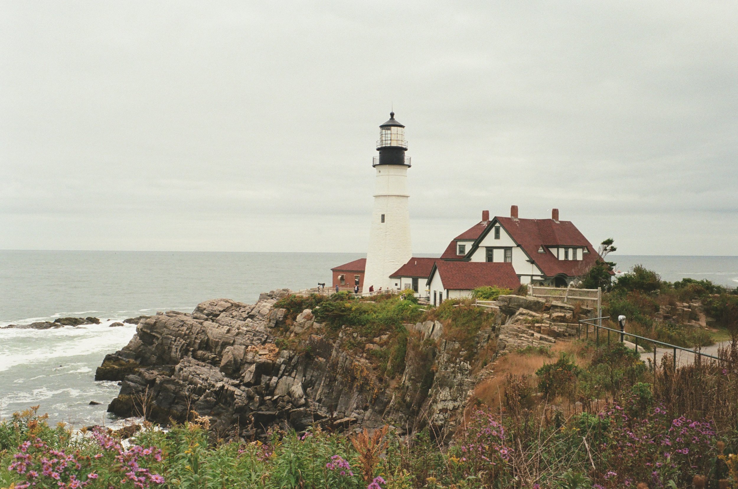 A lighthouse with a red roof and a white building at the base, located on rocky coastline near the ocean, under an overcast sky with flowering plants in the foreground.