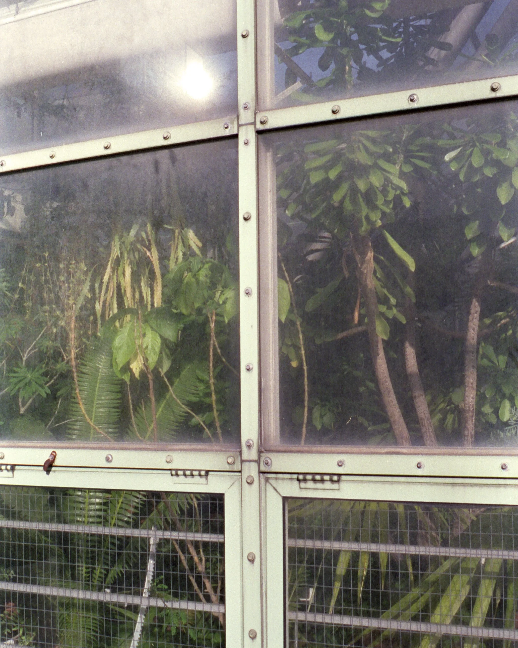 View through a glass enclosure showing a variety of plants and trees inside.