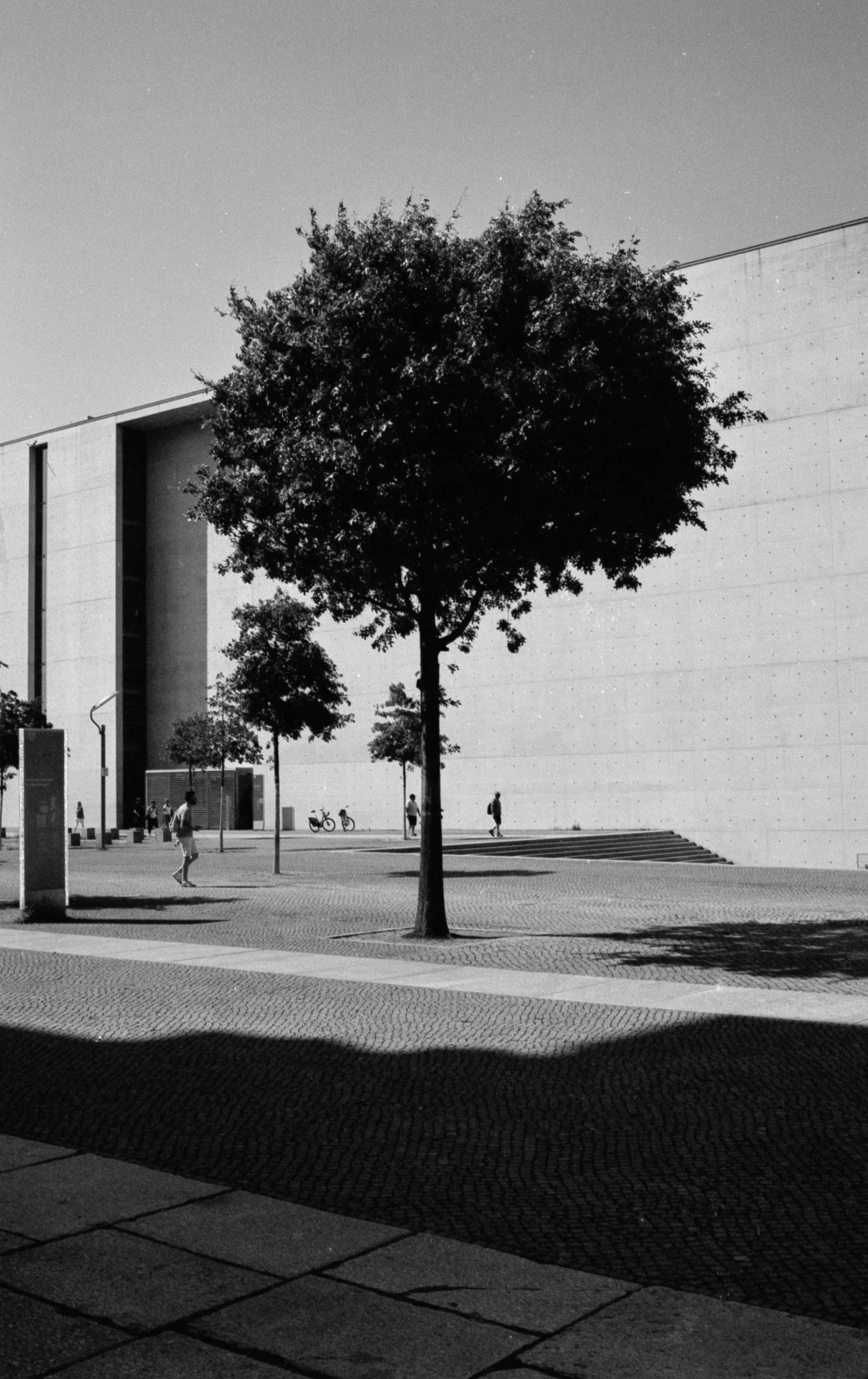Black and white photo of a park with a large tree in the center, a modern building in the background, and several people walking around. The ground is paved with patterned stones.