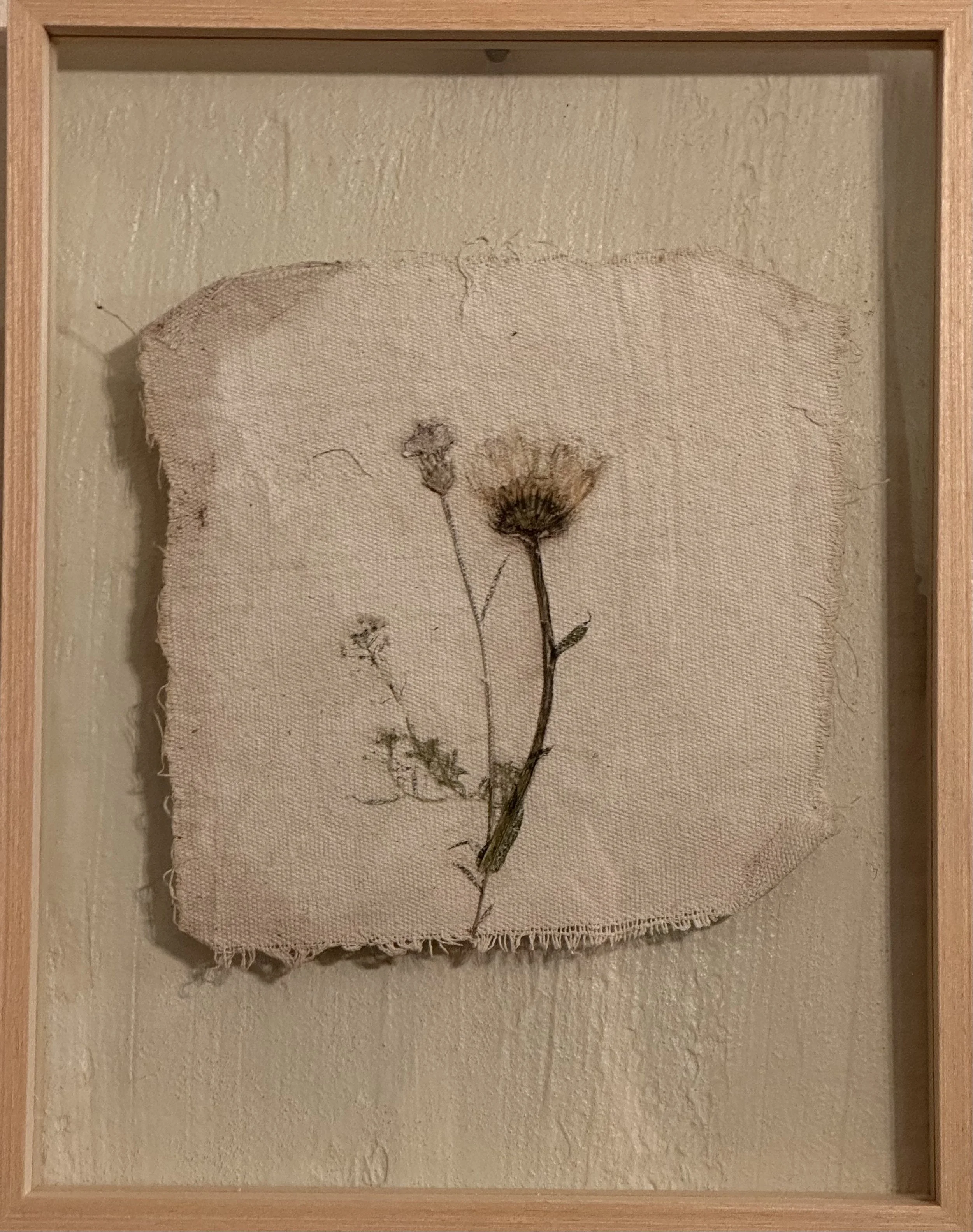 Botanical #48