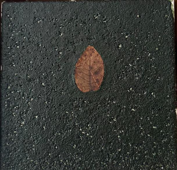 Screen Shot 2026-01-11 at 3.45.56 PM.png