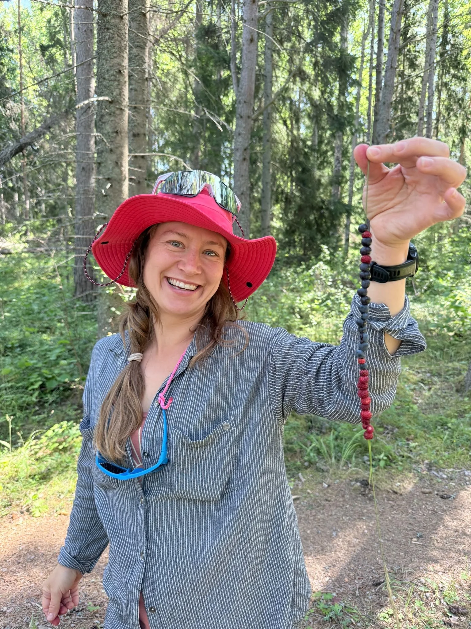 The Art of Harvesting: Why Your Best Transformation Happens When You Stop Trying