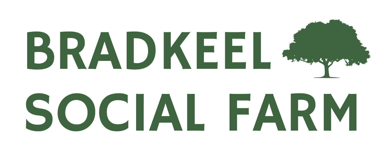 Bradkeel Social Farm