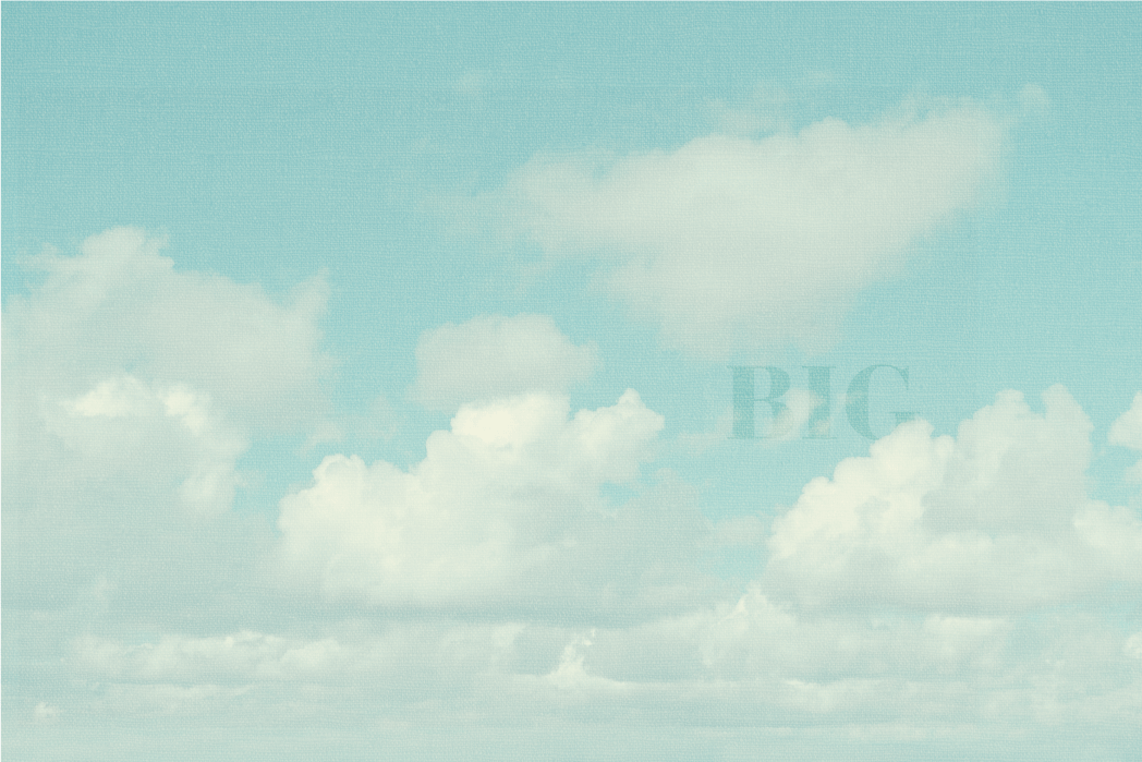 Brand-Package-Design-BigCorkVineyards-5.png