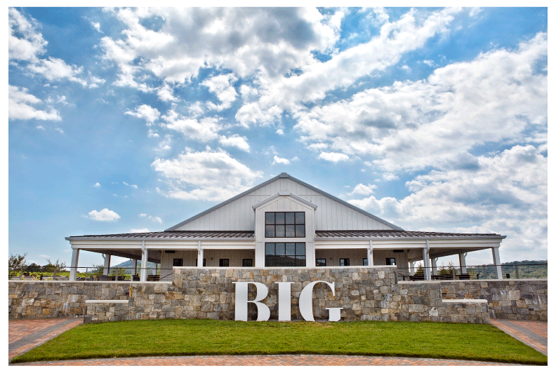 Brand-Package-Design-BigCorkVineyards-9.png