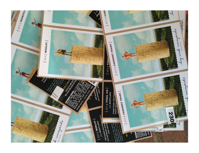 Brand-Package-Design-BigCorkVineyards8a.png