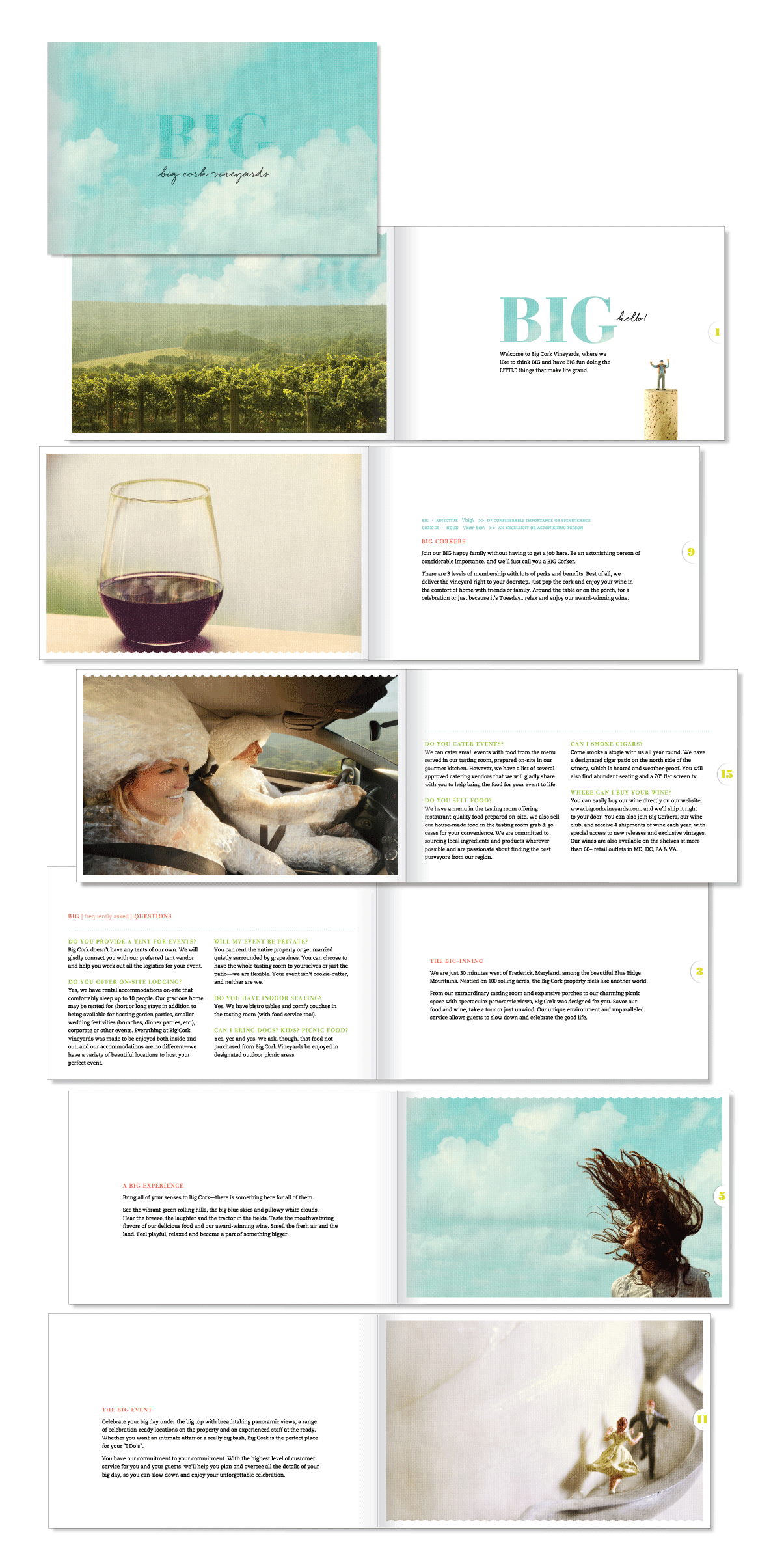 Brand-Package-Design-BigCorkVineyards-12.png