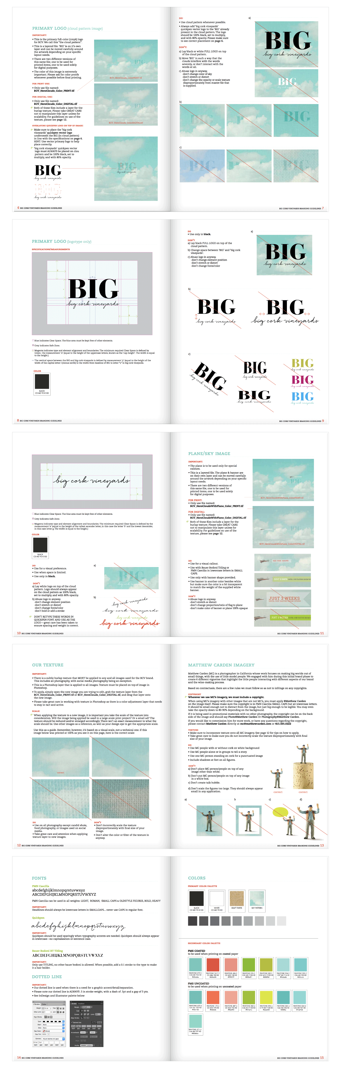 Brand-Package-Design-BCV-Branding-Media.png