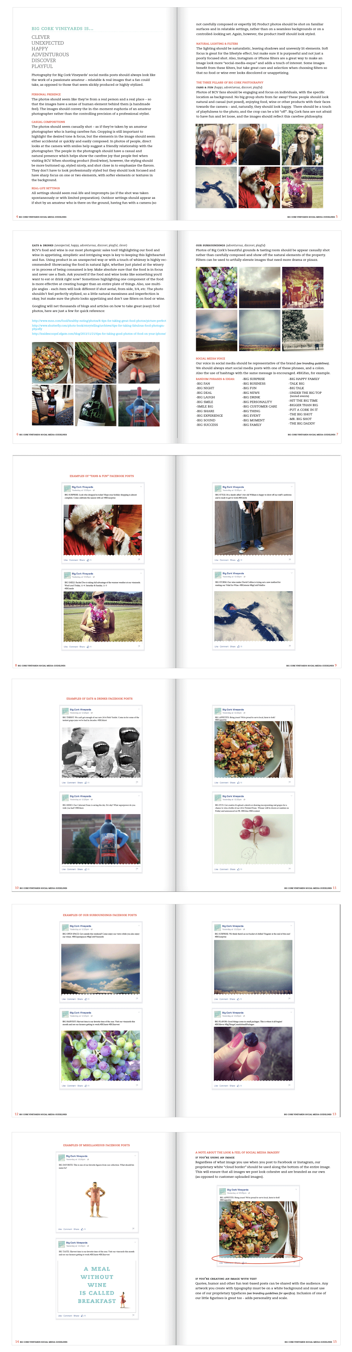 Brand-Package-Design-BCV-Social-Media.png
