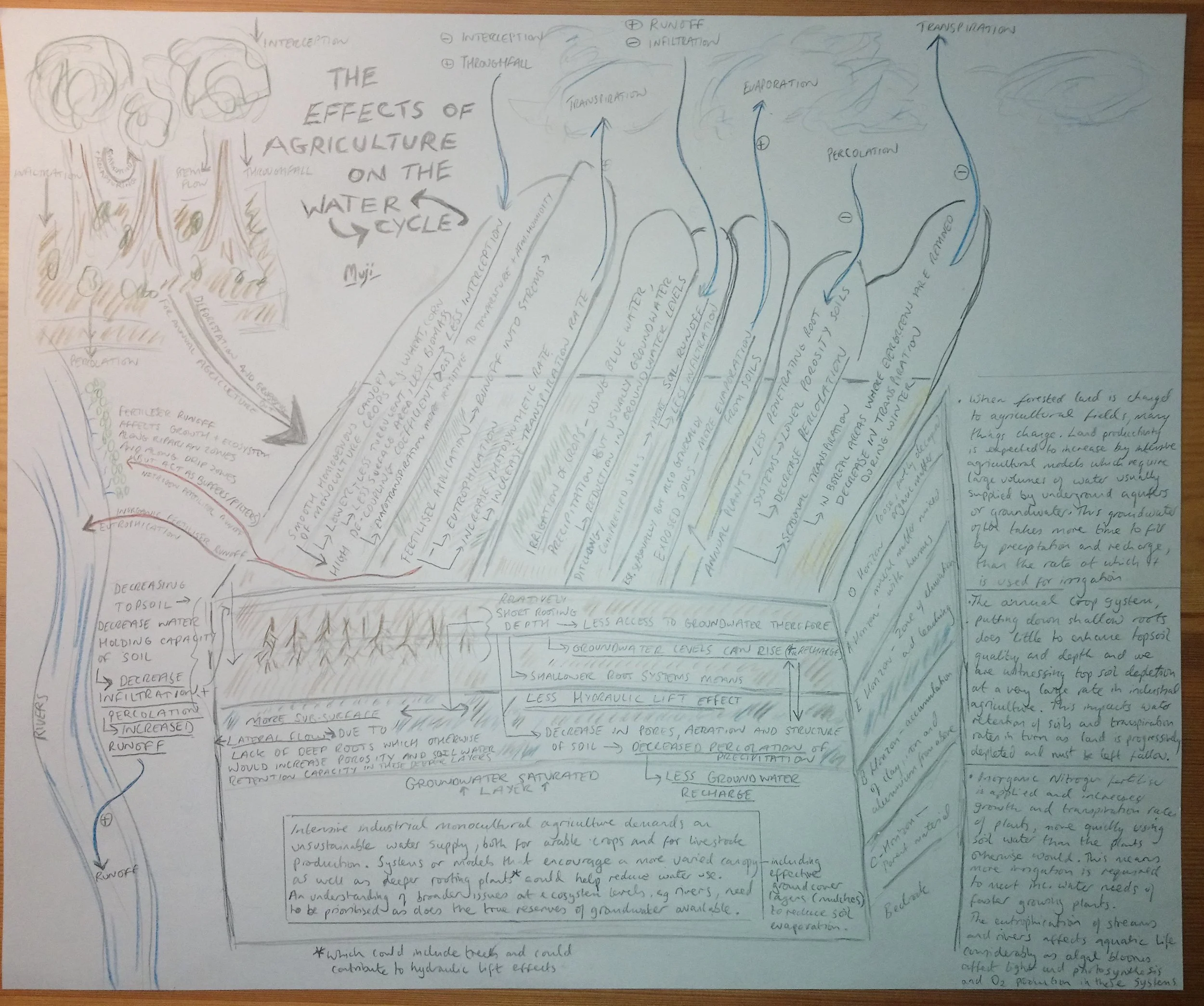 Effects of Agriculture on the Water Cycle.JPG