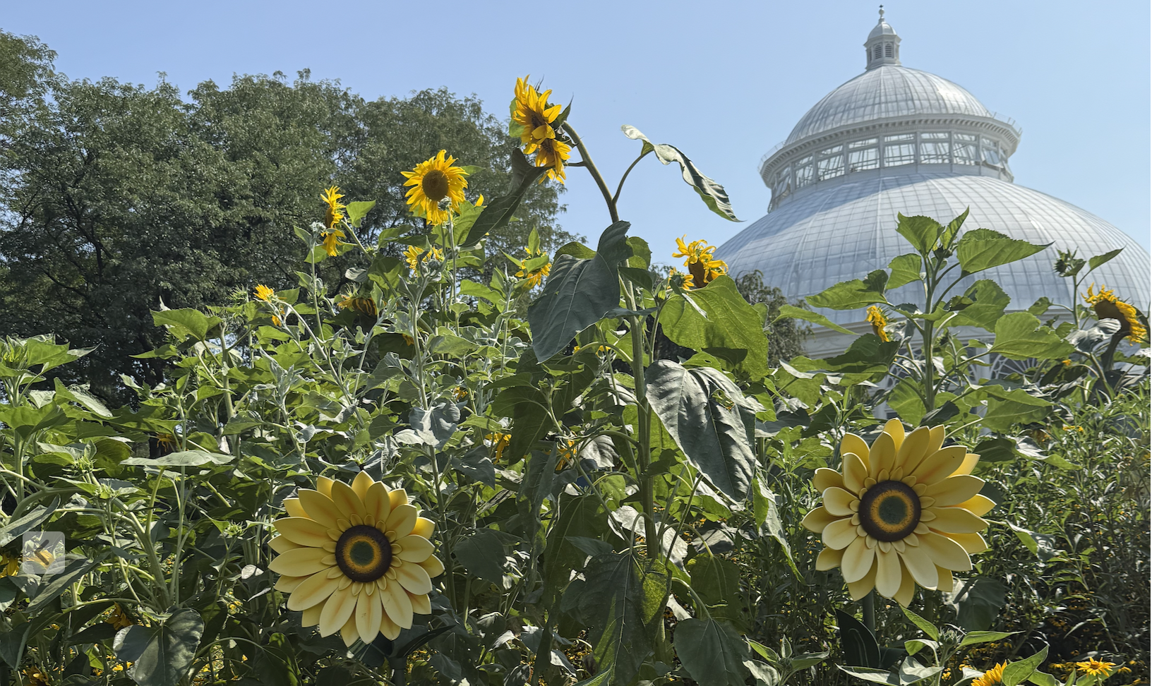 Screenshot 2025-11-06 at 12.56.52 PM.png