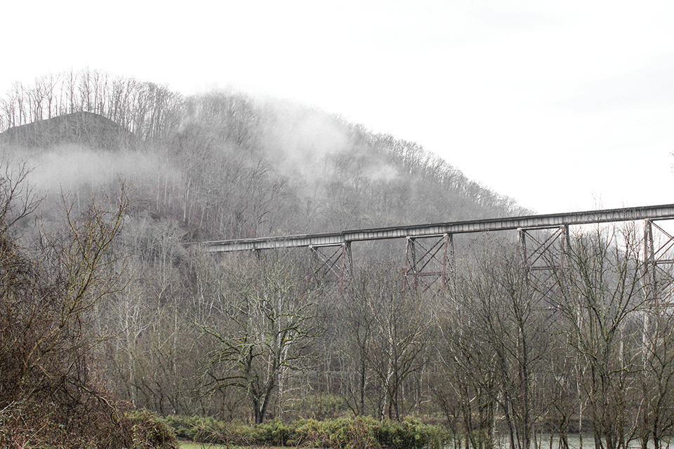 WEB winter track in fog.png