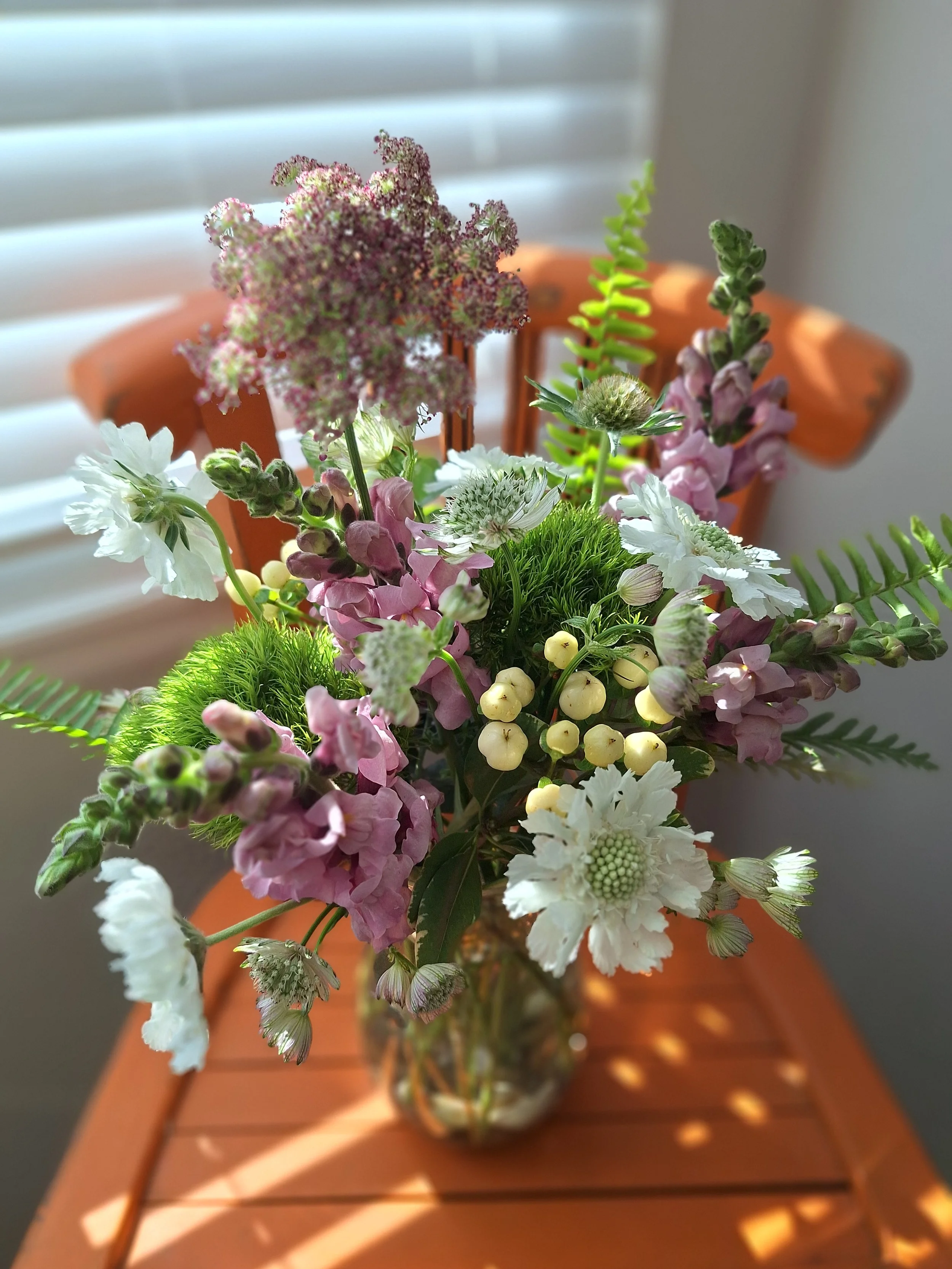 Morning Sun Snaps.jpg