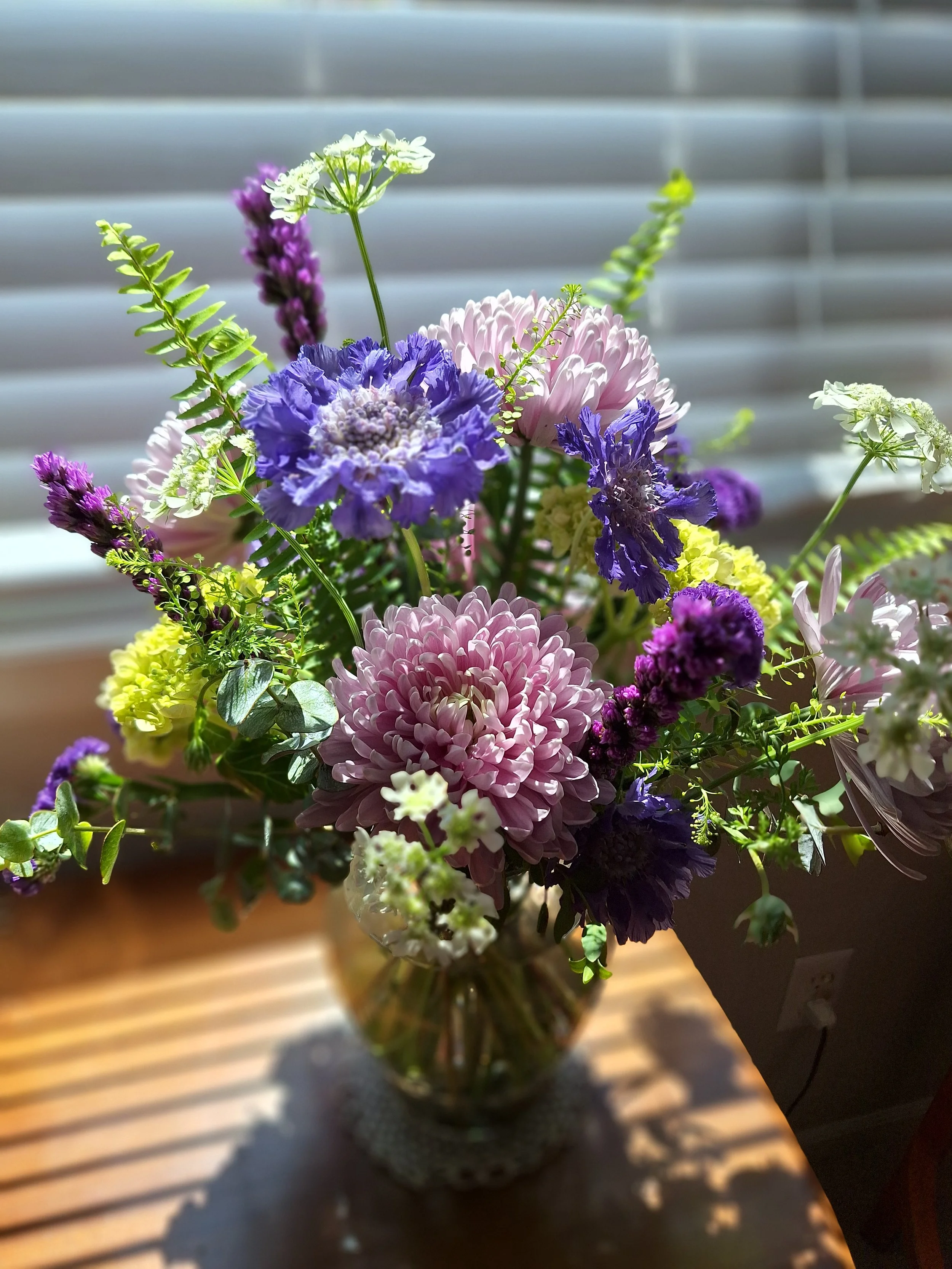 Purple Morning Sun.jpg