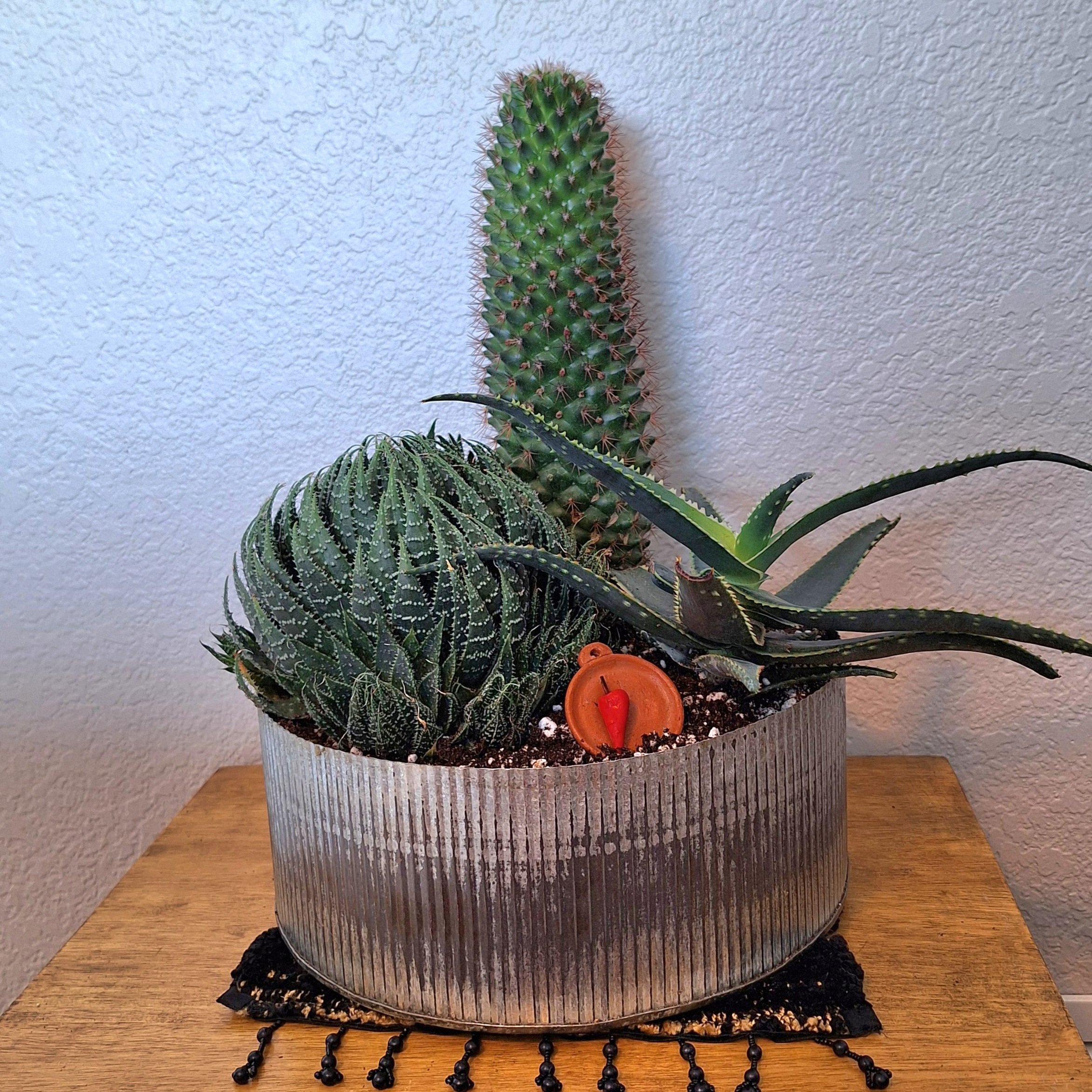Dish Garden--Succ Lg.jpg