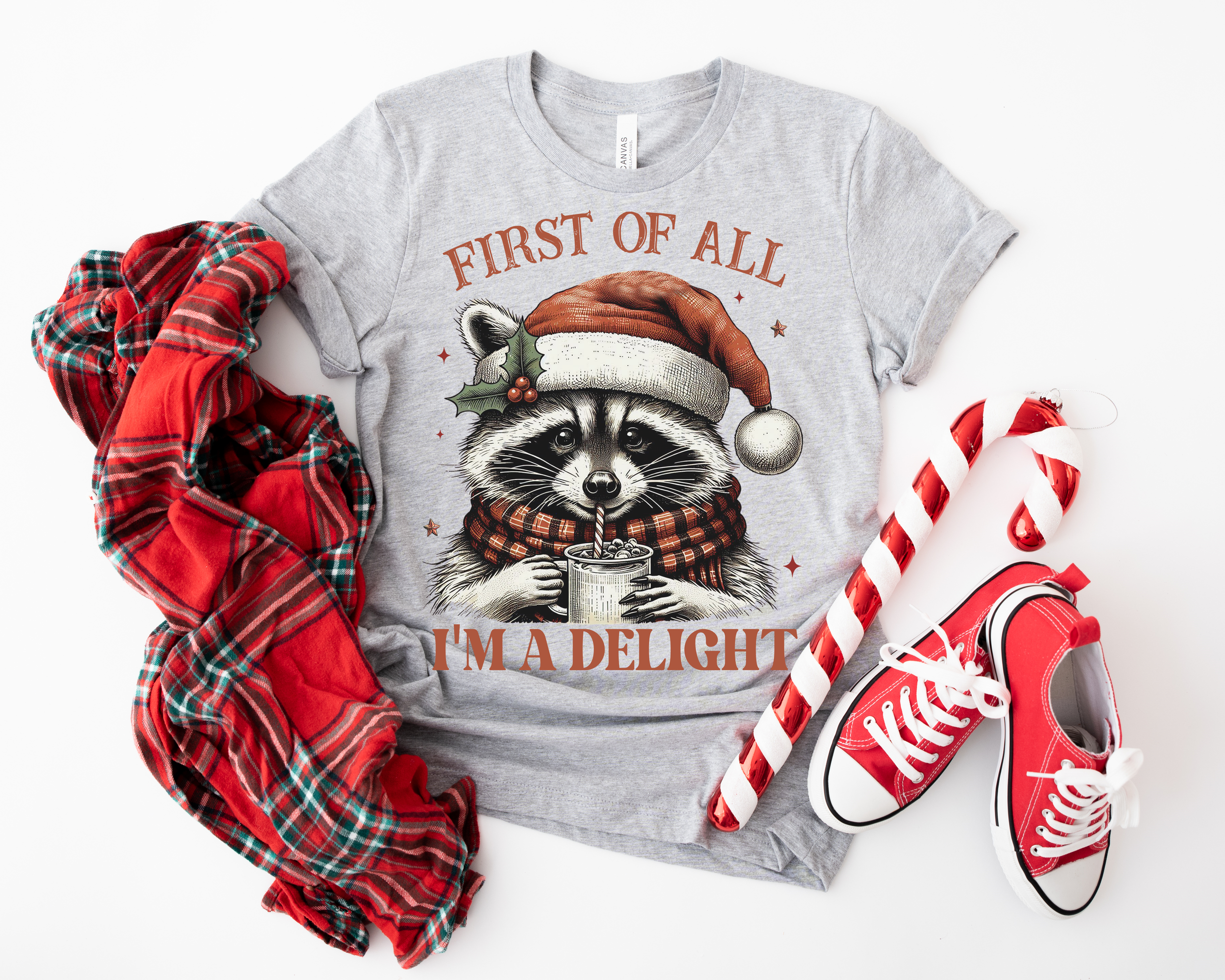 grey racoon christmas.png