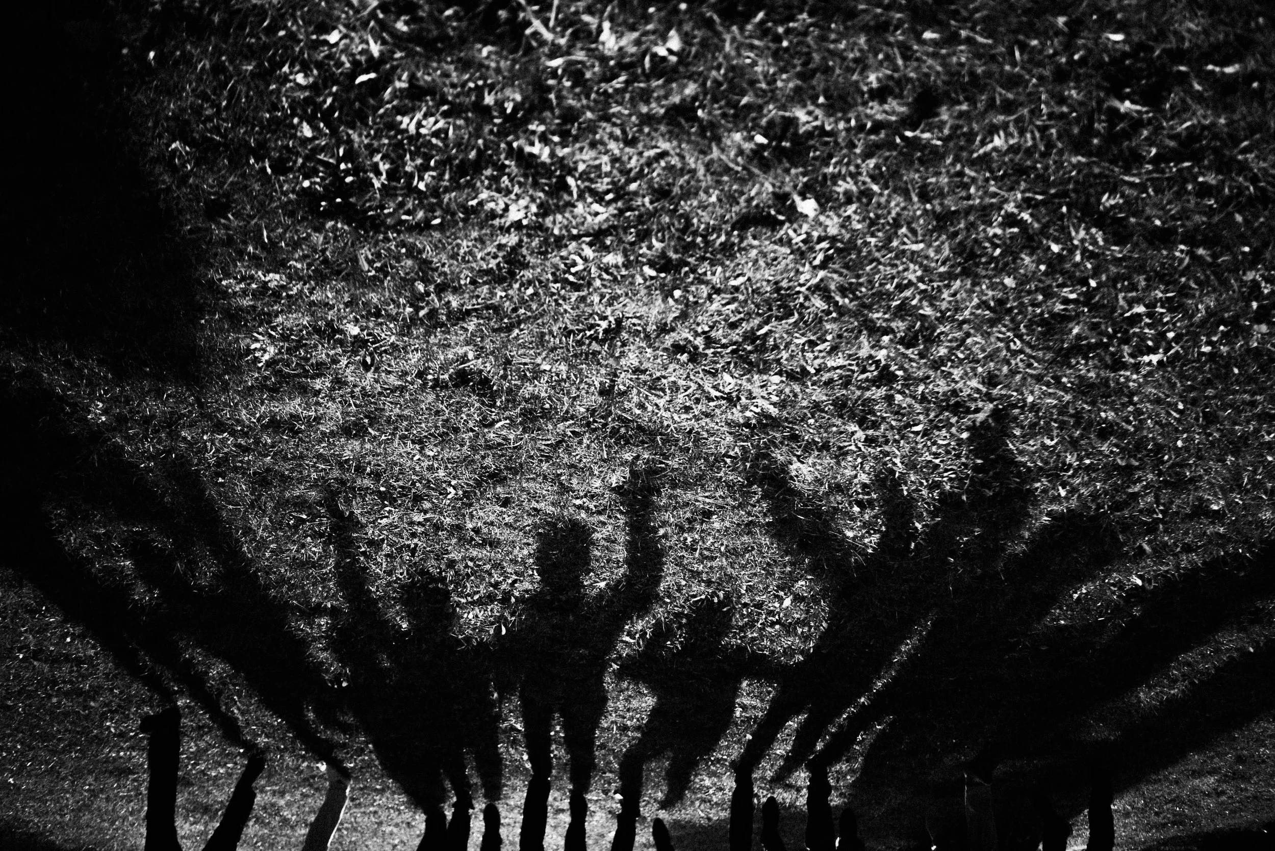 Unsung Heroes of Social Change: the Critical Role of Expeditioners in Today's Nonprofit Landscape