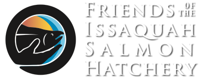 Friends of Issaquah Fish Hatchery