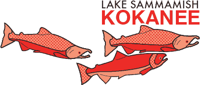 Lake Sammamish Kokanee Work Group