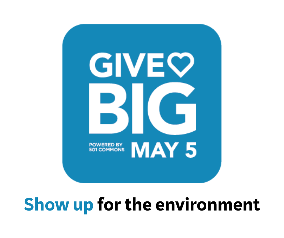 May 2026: GiveBIG to Mitigate Tire Wear Toxin 6PPD-q