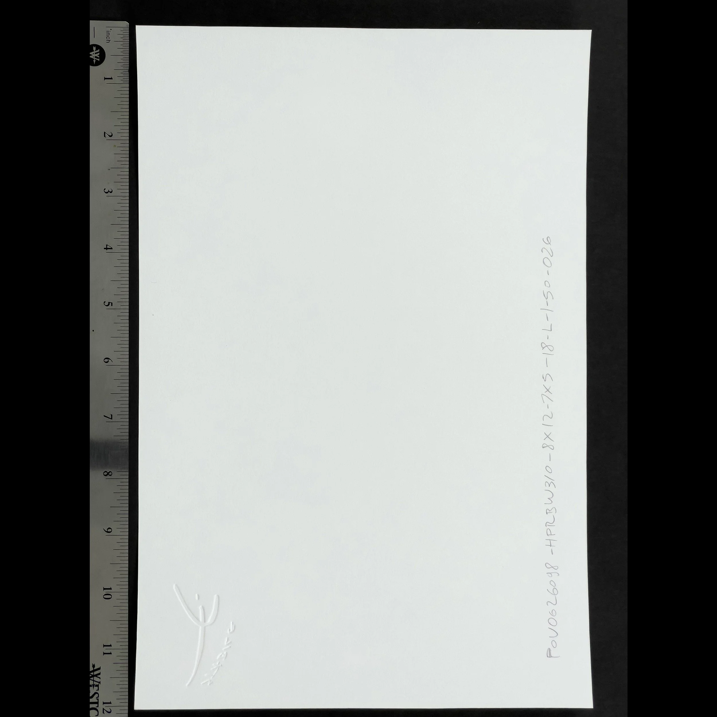 livio-stabile-light-black-white-print-back-sq.jpg