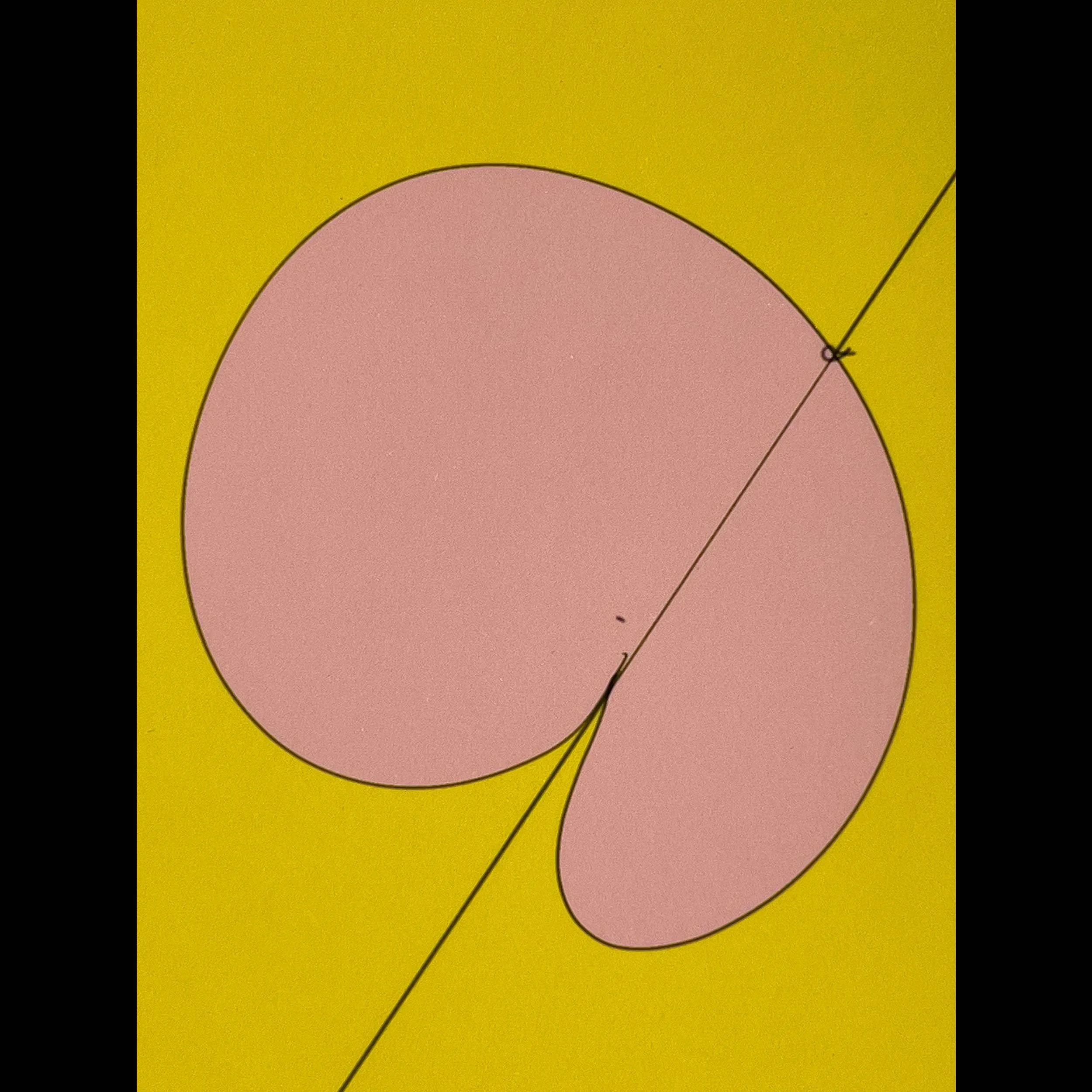 livio-stabile-intramuscular-pink-yellow-print-detail-sq.jpg