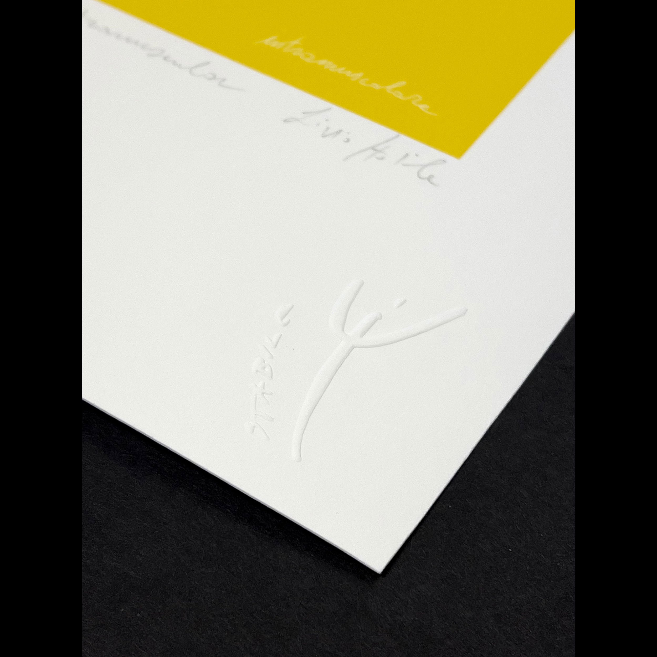 livio-stabile-intramuscular-pink-yellow-print-detail-1-sq.jpg