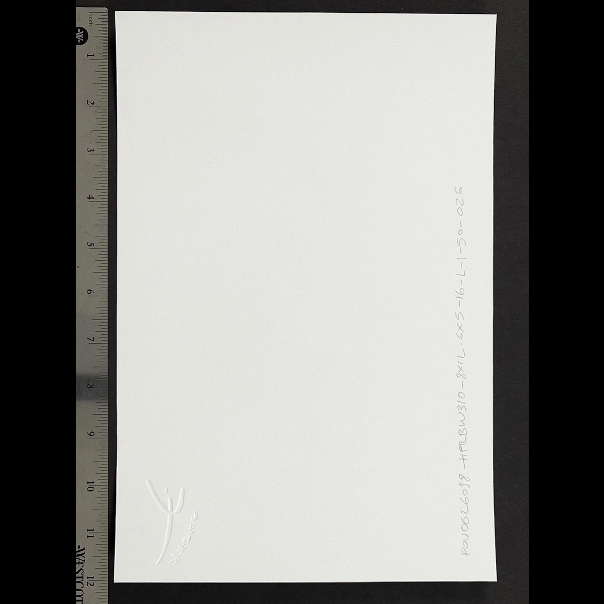 livio-stabile-almond-black-white-print-back-sq.jpg