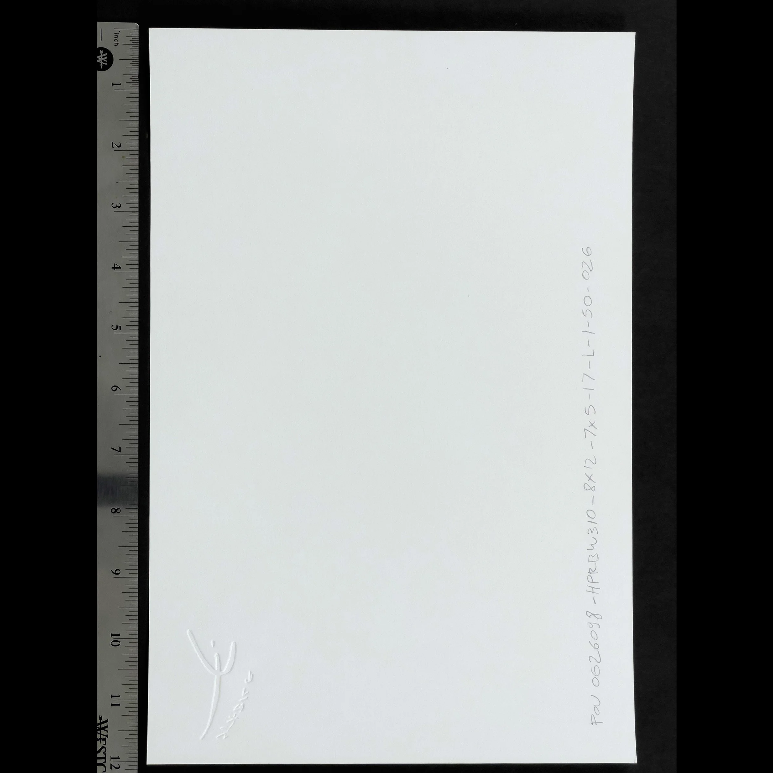 livio-stabile-lightsail-black-white-print-back-sq.jpg