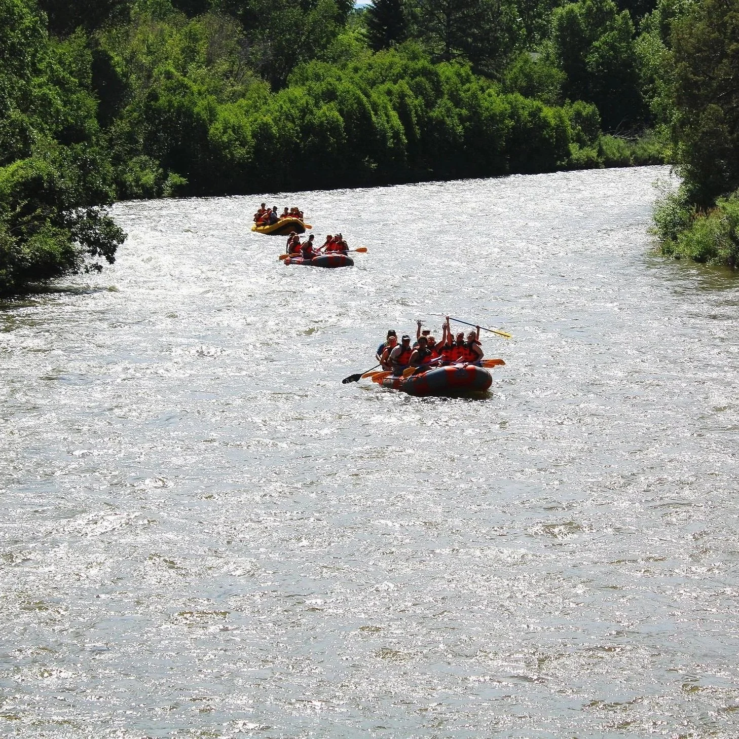 People white water rafting on a river surrounded by green trees.