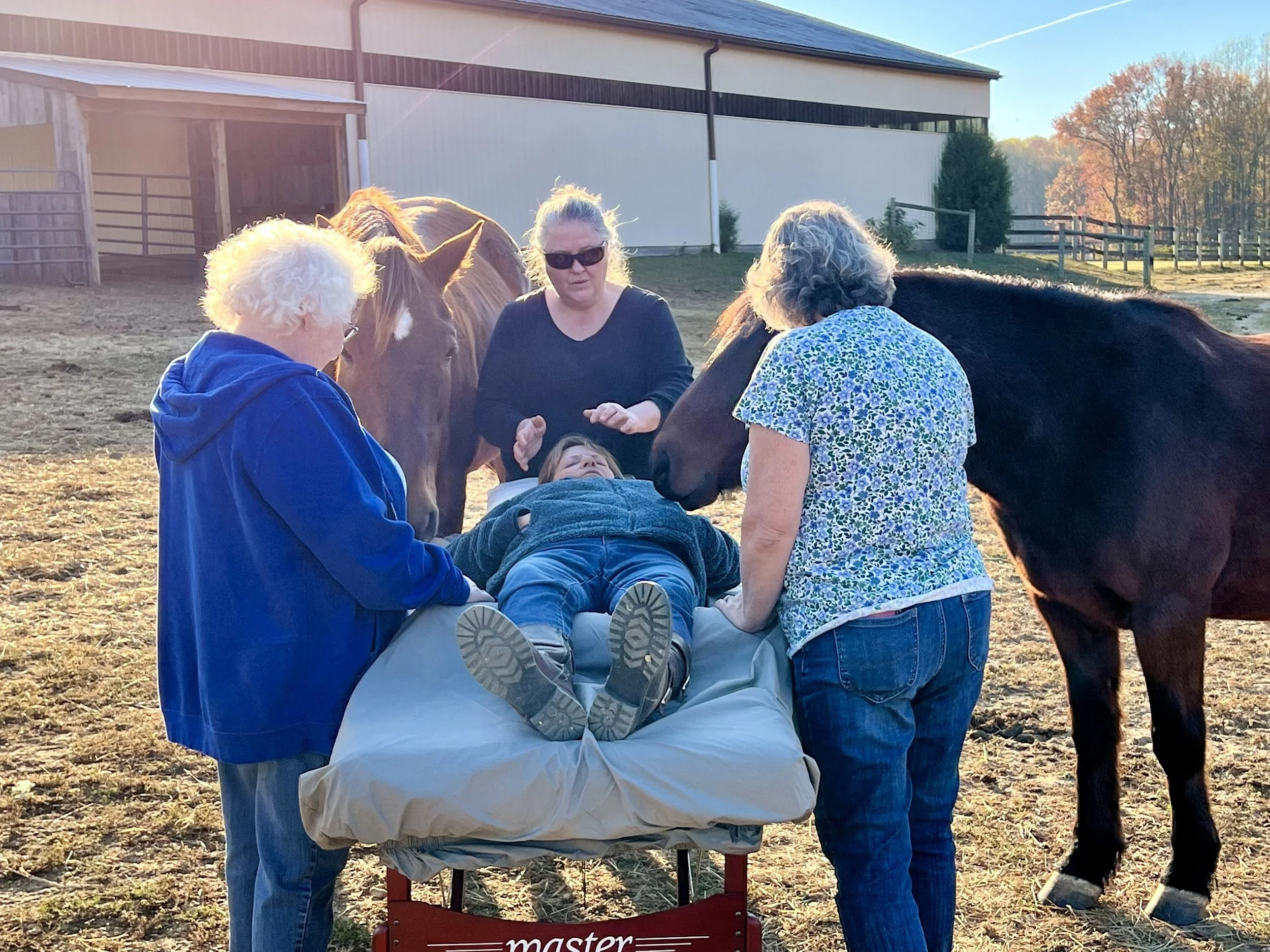 Reiki with Horses 