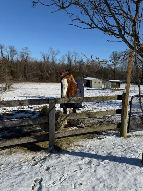 EDDIE center field (Lucy feeds)