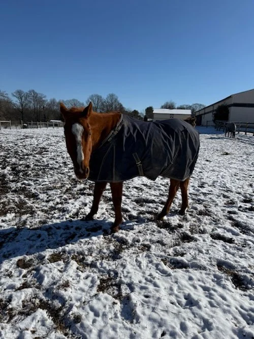 X back field / long blaze