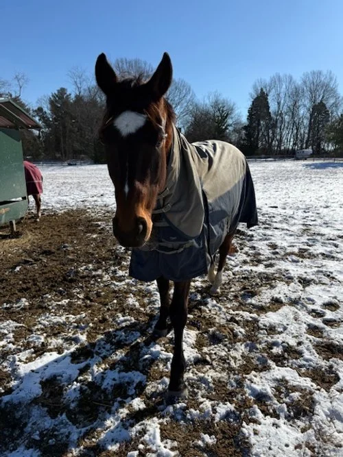 BALI front field / Big Bay w big star